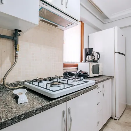 Apartment Duplex Flat Near Bilgi University And Golden Horn